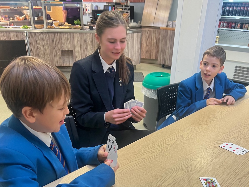 Peer Mentors  - Image