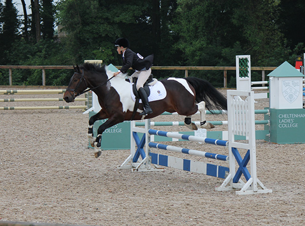 Show Jumper Qualifies for National Championships - Image