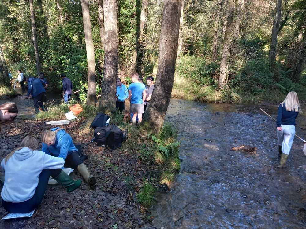 Year 13 Biology Fieldtrip - Image