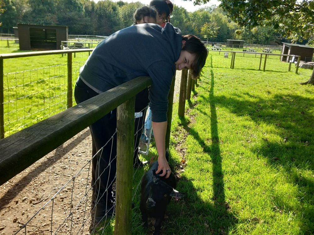 Year 13 Biology Fieldtrip - Image