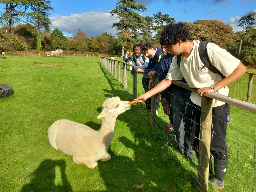 Year 13 Biology Fieldtrip - Image