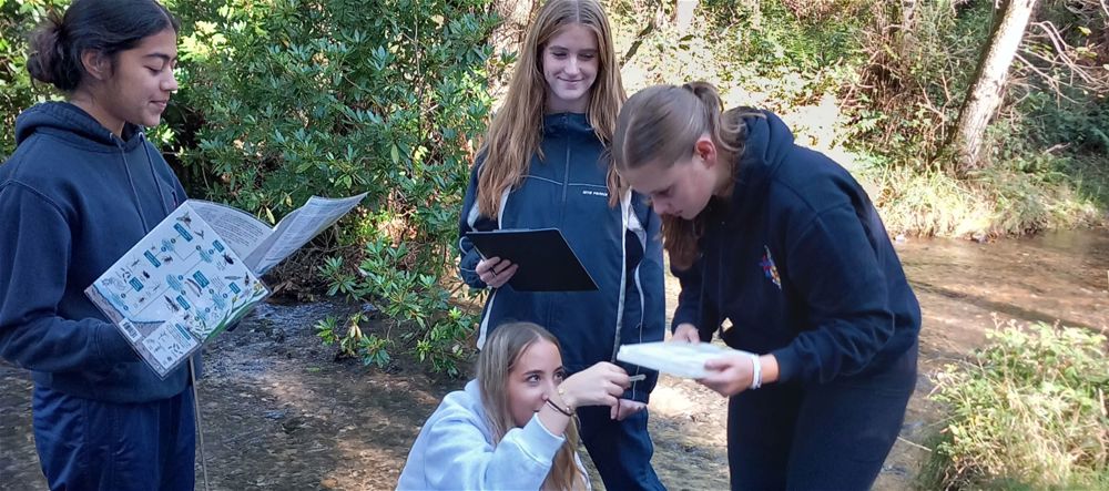 Year 13 Biology Fieldtrip